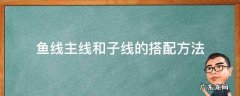 鱼线的主线与子线怎么搭配 鱼线主线和子线的搭配方法