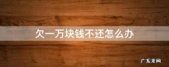 欠一万块钱不还怎么办没有欠条 欠一万块钱不还怎么办
