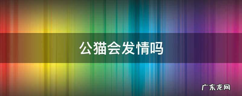 公猫会发情吗
