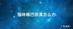 猫咪的嘴巴很臭怎么办 猫咪嘴巴很臭怎么办