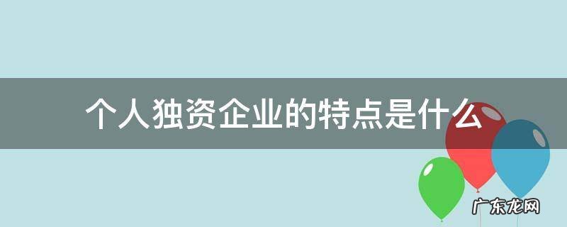 个人独资企业的特点是什么 个人独资企业的含义和特征是什么