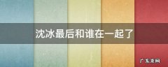 沈冰最后和谁在一起了