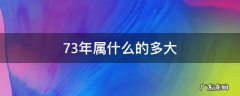 73年属什么的多大2020 73年属什么的多大