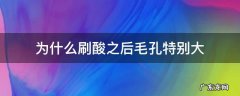 为什么刷酸之后毛孔特别大 刷酸会增大毛孔吗