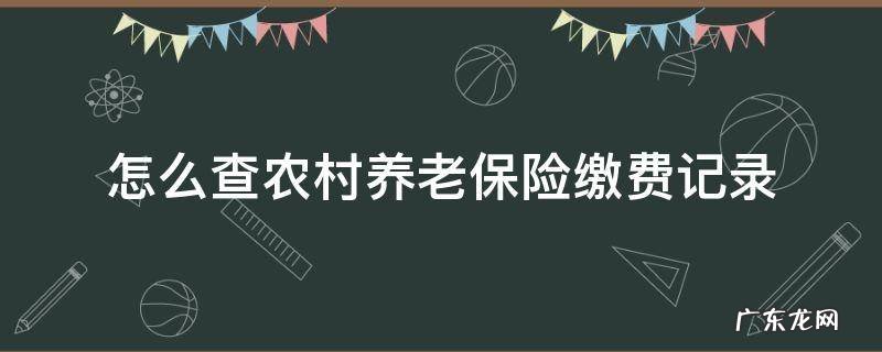 怎么查农村养老保险缴费记录 怎么查农村养老保险缴费记录查询