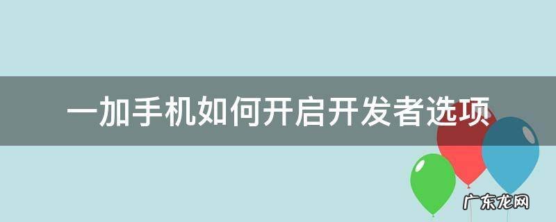 一加怎么开启开发者选项 一加手机如何开启开发者选项