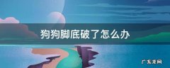 狗狗脚上破了怎么办 狗狗脚底破了怎么办