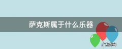 萨克斯属于什么乐器 萨克斯属于什么乐器家族