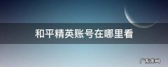 和平精英账号在哪里看组队记录 和平精英账号在哪里看