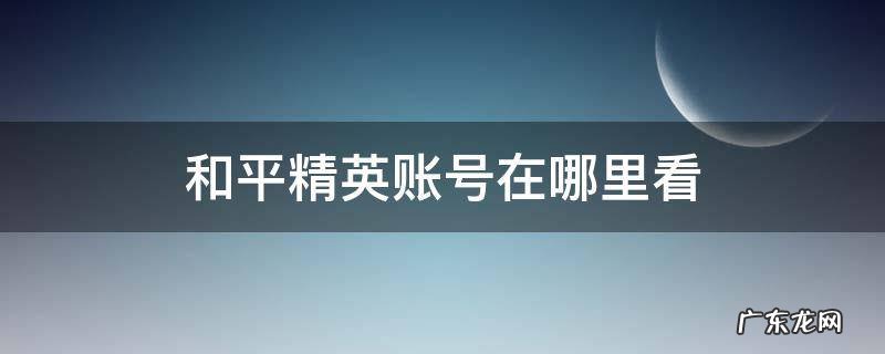 和平精英账号在哪里看组队记录 和平精英账号在哪里看