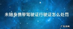 未随身携带驾驶证行驶证怎么处罚 未随身携带驾驶证行驶证怎么处罚车还能归还吗