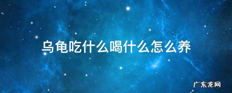 乌龟吃什么喝什么怎么养 乌龟吃什么喝什么?