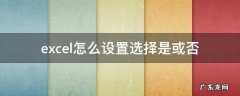 excel怎么设置选择是或否 如何在excel表里设置直接选择是或否