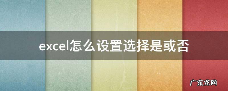excel怎么设置选择是或否 如何在excel表里设置直接选择是或否