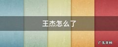王杰怎么了 王杰还在吗?