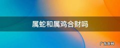 属蛇和属鸡合财吗 属鸡和属蛇合不合财