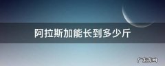阿拉斯加能长到多少斤 阿拉斯加犬能长到多少斤
