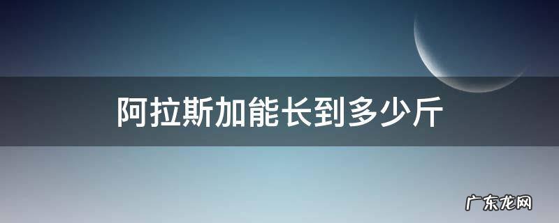 阿拉斯加能长到多少斤 阿拉斯加犬能长到多少斤
