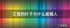 王莲的叶子为什么能载人读后感 王莲的叶子为什么能载人
