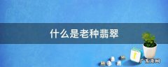什么是老种翡翠 翡翠怎么区别种老