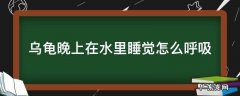 乌龟晚上在水里睡觉怎么呼吸 乌龟在水里怎么呼吸的