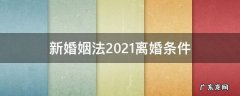 新婚姻法2021离婚条件 2021年新婚姻法规定离婚