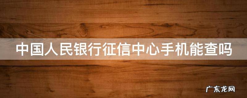 中国人民银行征信中心手机能查吗 中国人民银行征信中心手机能查吗安全吗