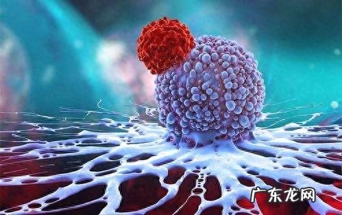 45岁女性诊断肝癌,化疗2次后受不了而转院,却被告知并没有患癌