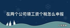 在两家公司领工资个税怎么办 在两个公司领工资个税怎么申报