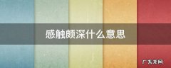 感触颇深什么意思收获良多 感触颇深什么意思