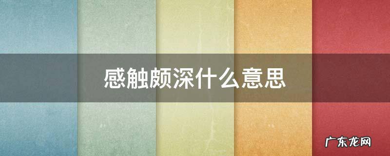 感触颇深什么意思收获良多 感触颇深什么意思