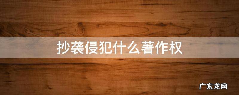 抄袭侵犯什么著作权 抄袭他人作品侵犯了哪些著作权权利?