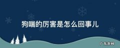 幼犬喘的厉害怎么回事 狗喘的厉害是怎么回事儿