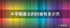 牛怀孕最长多少天 牛孕期最长的时候有多少天