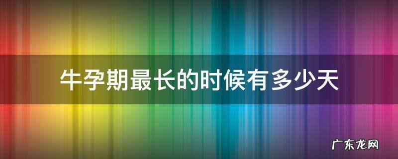 牛怀孕最长多少天 牛孕期最长的时候有多少天