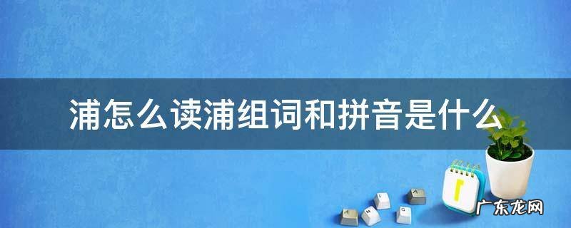 浦的组词和拼音是什么 浦怎么读浦组词和拼音是什么