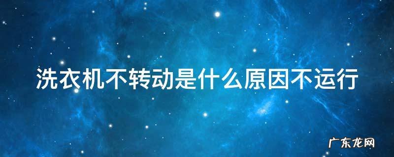 洗衣机不转动是什么原因不运行怎么办 洗衣机不转动是什么原因不运行