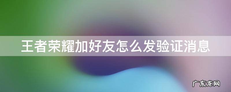 王者荣耀加好友怎么发验证消息 王者荣耀加好友怎么发验证消息对方能看到吗?