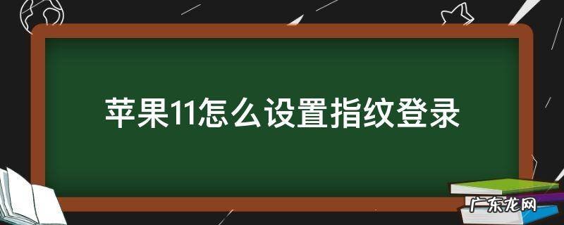 苹果11怎么设置指纹登录 苹果11如何开启指纹登录