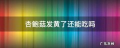 杏鲍菇发黄了还能吃吗 杏鲍菇 发黄