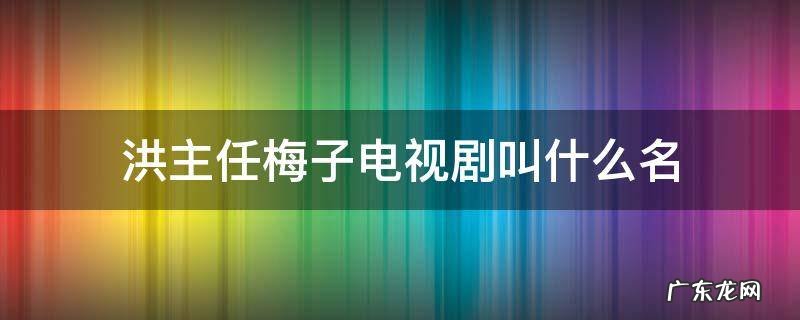洪主任梅子电视剧叫什么名 洪主任梅子是什么电视
