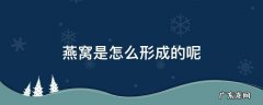 什么是燕窝怎么形成的 燕窝是怎么形成的呢