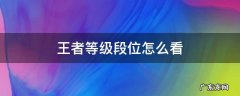 王者等级段位怎么看 王者荣耀等级段位怎么看