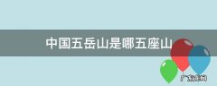 中国五岳山是哪五座山 中国五岳山是哪五座山各在哪个省地图