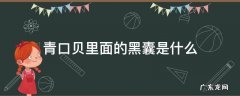 青口贝黑黑的是什么 青口贝里面的黑囊是什么