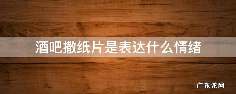 酒吧里面为什么会撒纸 酒吧撒纸片是表达什么情绪