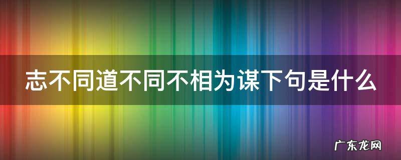 志不同道不同不相为谋感悟 志不同道不同不相为谋下句是什么