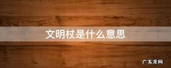 文明杖的由来 文明杖是什么意思