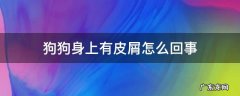 狗狗身上有皮屑怎么回事 狗狗身上有皮屑咋办