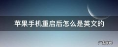 苹果手机重启后怎么是英文的 苹果开机变英文怎么办